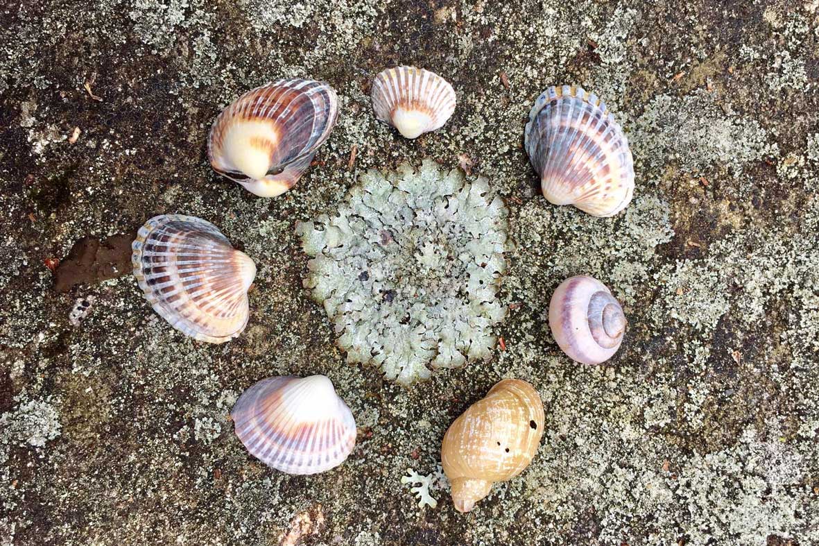 Will circularity ever rule the world?