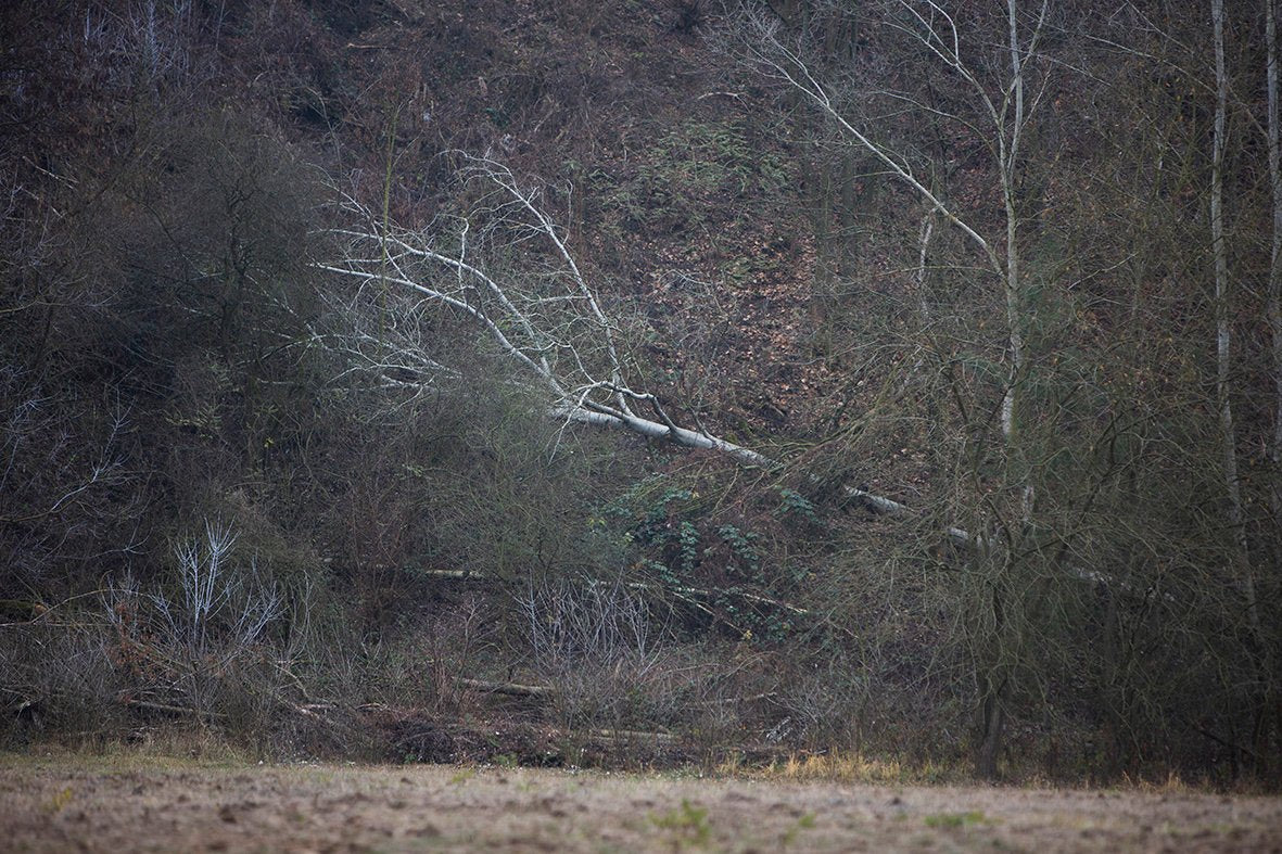 Colour trends from autumn woodlands, sand and stone - TAUKO - Taukodesign