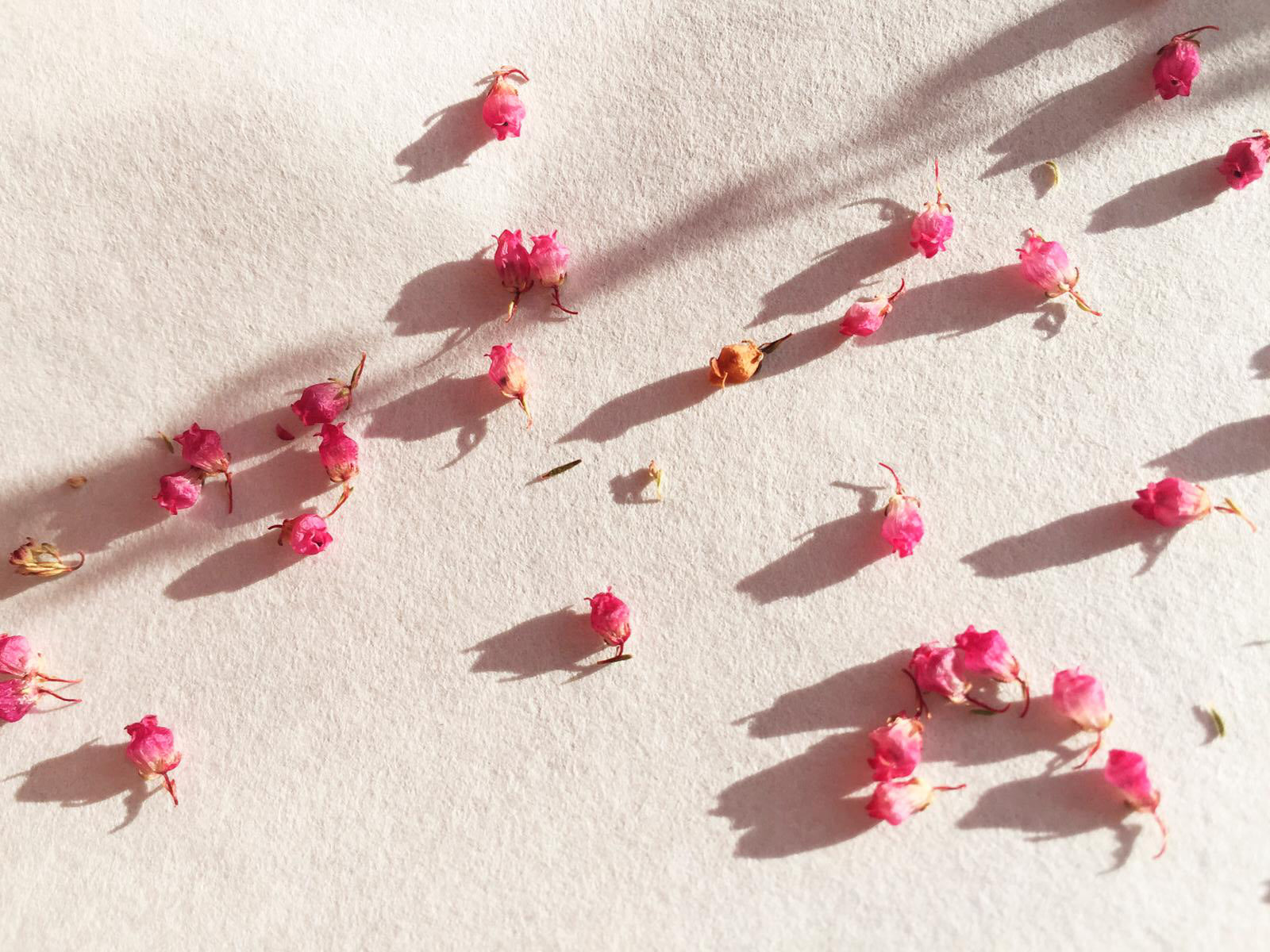 Recollection - a new initiative for circular fashion practises