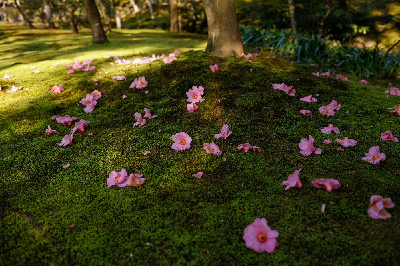 Fall in love with the signature-pieces